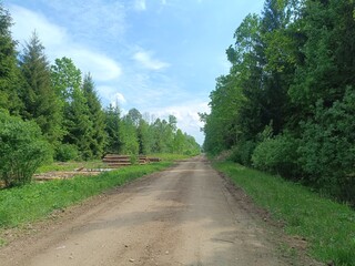 Road in forest in Siauliai county during sunny summer day. Oak and birch tree woodland. Sunny day with white clouds in blue sky. Bushes are growing in woods. Sandy road. Nature. Summer season. Miskas.