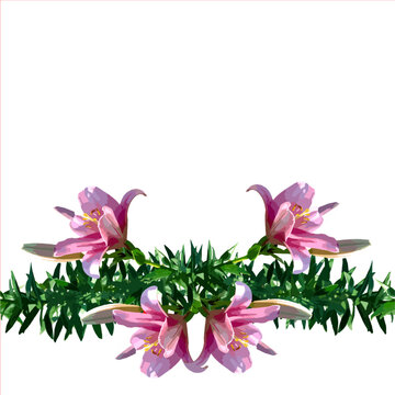 百合の花を白バックに並べた白背景のバナー素材、シームレス