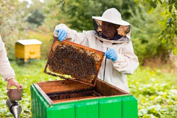 Beekeeper on apiary. Beekeeper is working with bees and beehives on apiary.