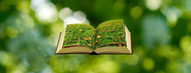 A book lies open, revealing a picturesque meadow with vibrant green grass and scattered autumn leaves, all set against a blurred backdrop of lush greenery.