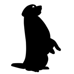 Dog
watch
hunting 
good 
black 
Vector dog