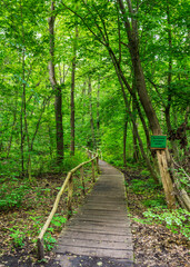 Landschaft am Hellsee in Lanke, Bernau, Brandenburg, Deutschland