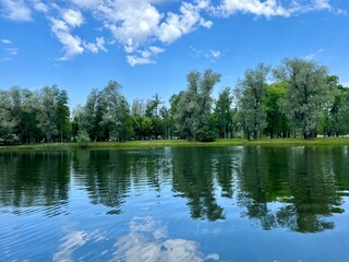 Green trees and sky reflection on the water surface, pond in the park