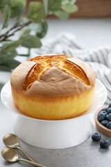 Japanese cotton cheesecake on a white plate, selective focus