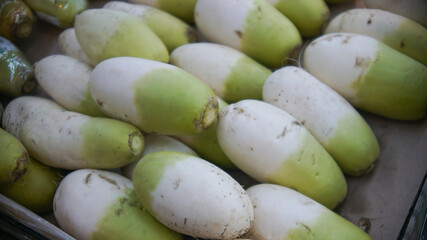 Radishes on display at a vegetable store