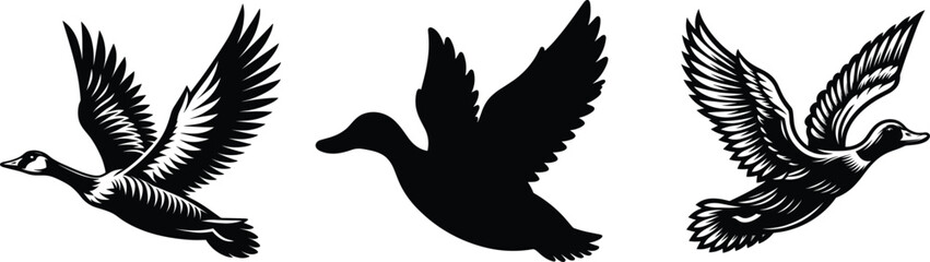 Naklejka premium Set of flying wild duck, vector illustration.