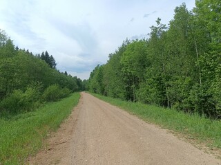 Road in forest in Siauliai county during sunny summer day. Oak and birch tree woodland. Sunny day with white clouds in blue sky. Bushes are growing in woods. Sandy road. Nature. Miskas.