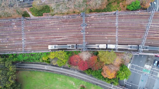Landscape bird's-eye view of train leaving Central Station railway line tracks with trees next to busy street Haymarket Surry Hills transport commute