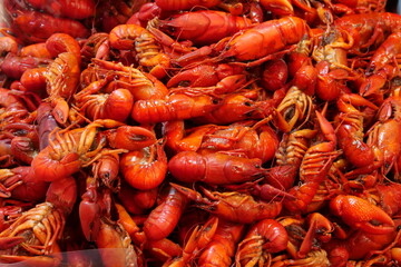 Deep orange prawns stacked together close up.