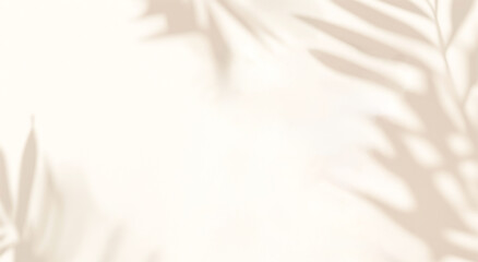 Palm Tree Shadow Overlay Beige Wall. Minimalist, Tropical, and Summery Aesthetic for Branding, Product Photography, and Graphic Design