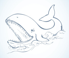 Whale with open mouth. Vector drawing