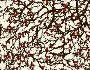Branches of Blackthorn. Vector drawing