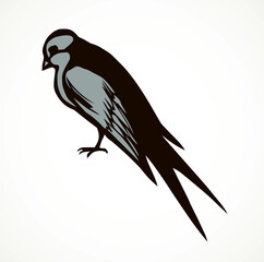 Swallows are sitting on a wire. Vector drawing