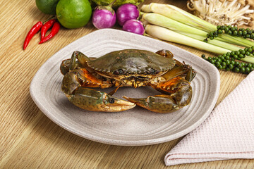 Delicous fresh raw uncooked crab