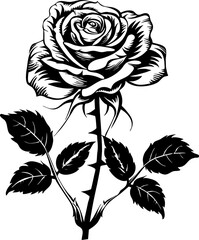 Rose Flower Vector Silhouette