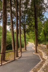 Trails at Nahal Hashofet at Ramat Menashe Forest part of the Carmel mountain range in Israel
