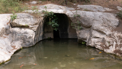 Ein Horshat an natural spring coming out of the side of a hill in Nahal Hashofet Park at Ramat Menashe Forest part of the Carmel mountain range in Israel. The Hebrew says My mother's spring.
