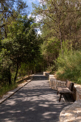 Trail at Nahal Hashofet with benches for resting and relaxing at Ramat Menashe Forest part of the Carmel mountain range in Israel.
