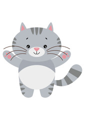 Cute cat isolated on white