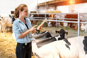 Female rancher working on her digital tablet while standing next to cows in livestock farm.