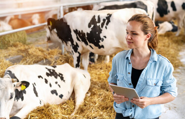 Portrait of modern female rancher with digital tablet in her hands in front of caws in livestock.