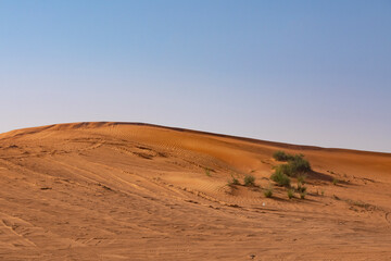 The Desert in Ras al Khaimah, United Arab Emirates