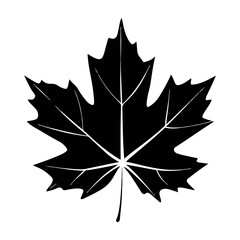 Naklejka premium Leaf Silhouette 