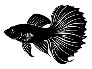 Betta fish silhouette vector illustration 
