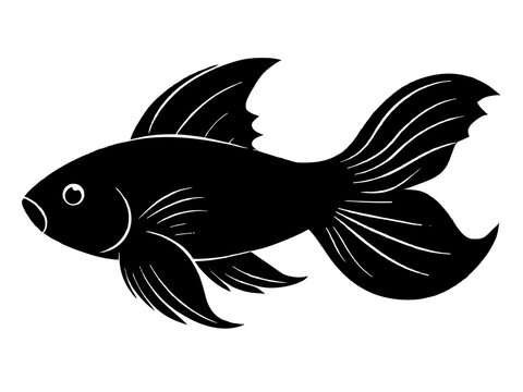 recommend clip art: Betta fish silhouette vector illustration 
