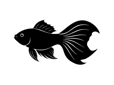 recommend clip art: Betta fish silhouette vector illustration 