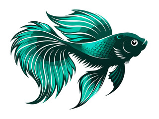 Fototapeta premium Betta fish vector illustration 