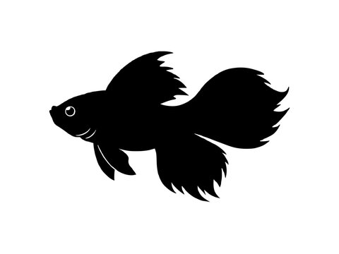 recommend clip art: Betta fish silhouette vector illustration 