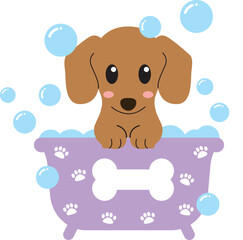 Dachshund in bath tub