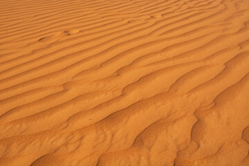 The Desert in Ras al Khaimah, United Arab Emirates