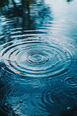 Obraz premium Mesmerizing water ripples create serene background
