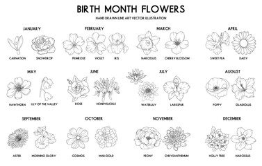 Birth month flower set, vector hand drawn isolated line art flowers and plants for greeting cards and invitations