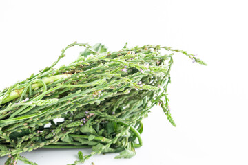 Fresh Chinese Herbs-Verbena