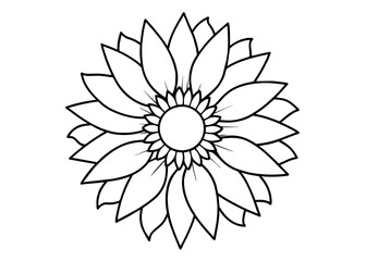 Sunflower vector line art illustration