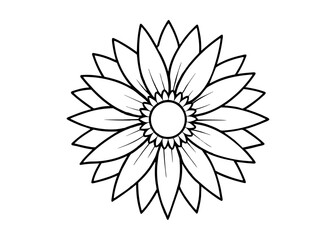 Sunflower vector line art illustration