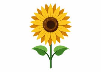 Sunflower vector illustration 