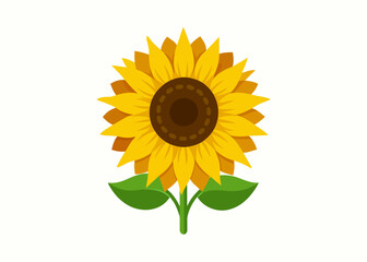 Sunflower vector illustration 