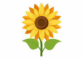 Obraz premium Sunflower vector illustration 