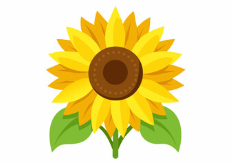Sunflower vector illustration 