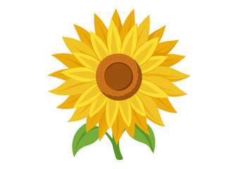 Sunflower vector illustration 