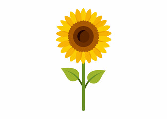 Sunflower vector illustration 