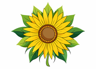 Sunflower vector illustration 