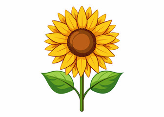 Sunflower vector illustration 