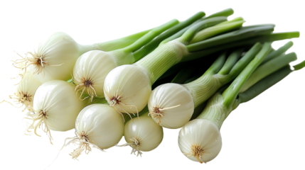 Fresh organic green onions. Add flavor to your favorite dishes.