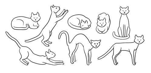 Hand drawn cat in different poses