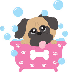 Cute pug dog in bath tub
